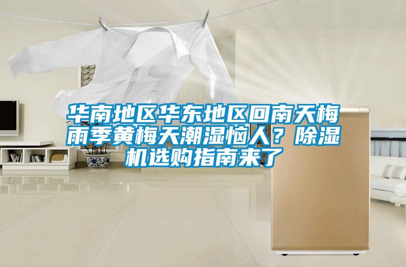 華南地區(qū)華東地區(qū)回南天梅雨季黃梅天潮濕惱人？除濕機(jī)選購指南來了