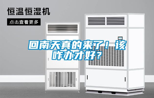 回南天真的來了！該咋辦才好？