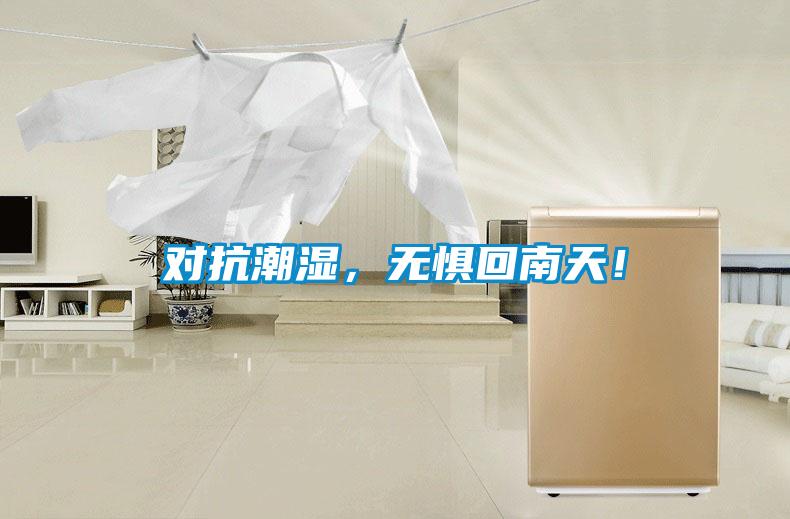 對抗潮濕，無懼回南天！