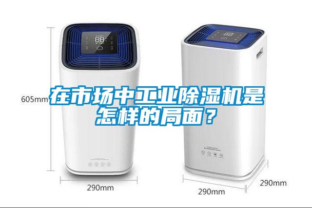 在市場(chǎng)中工業(yè)除濕機(jī)是怎樣的局面？