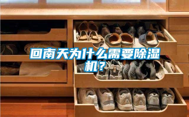 回南天為什么需要除濕機(jī)？