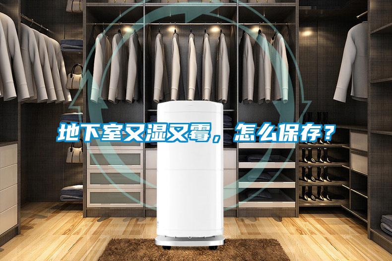 地下室又濕又霉，怎么保存？