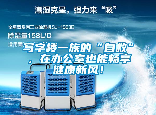 寫字樓一族的“自救”，在辦公室也能暢享健康新風！