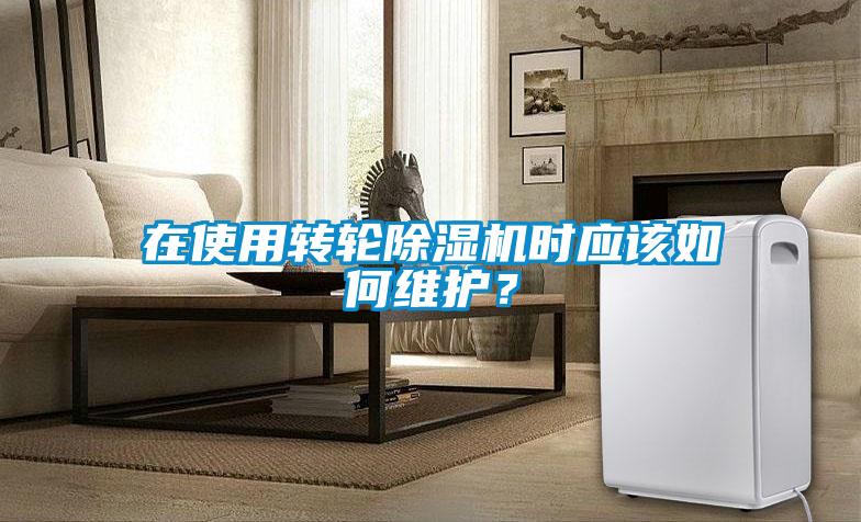 在使用轉(zhuǎn)輪除濕機(jī)時應(yīng)該如何維護(hù)？