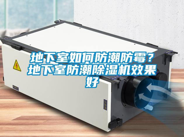 地下室如何防潮防霉？地下室防潮除濕機(jī)效果好