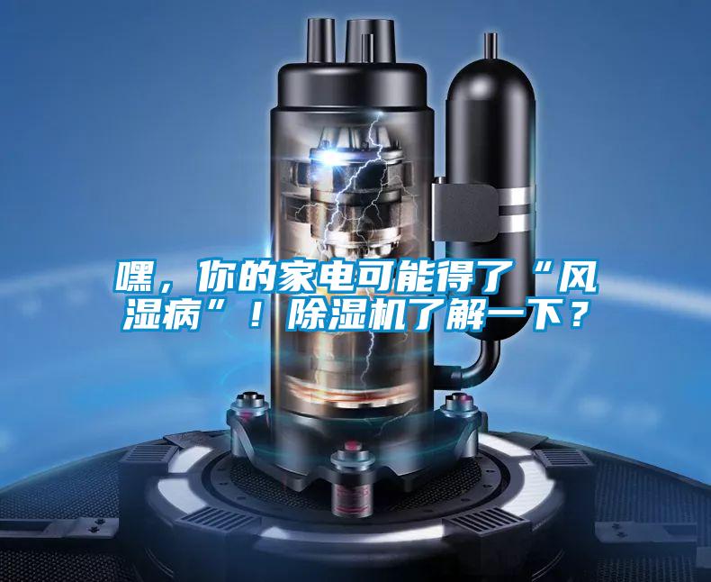 嘿，你的家電可能得了“風(fēng)濕病”！除濕機(jī)了解一下？
