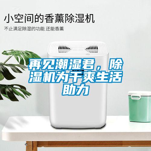 再見潮濕君，除濕機為干爽生活助力