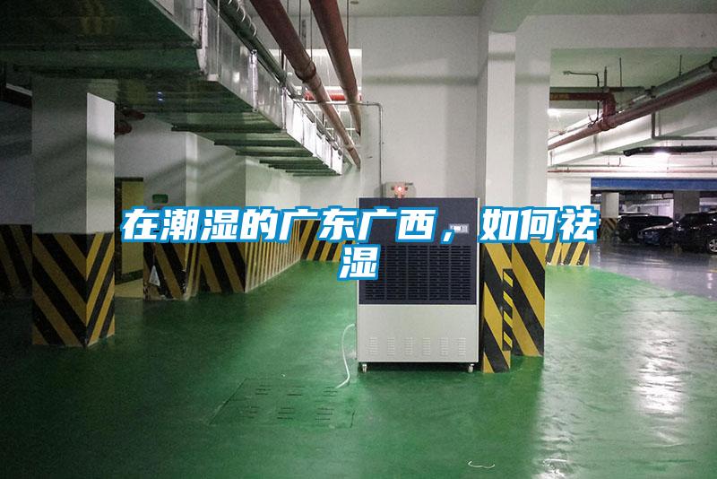 在潮濕的廣東廣西，如何祛濕