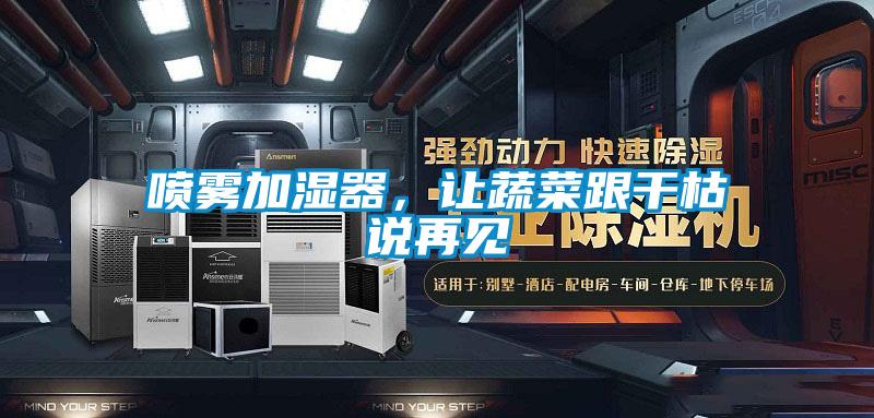 噴霧加濕器，讓蔬菜跟干枯說再見