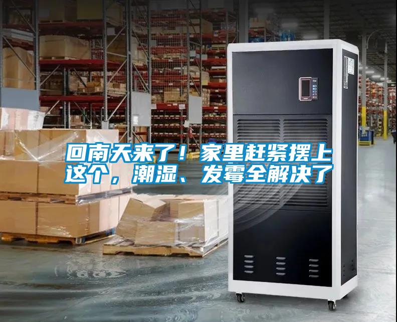 回南天來(lái)了！家里趕緊擺上這個(gè)，潮濕、發(fā)霉全解決了