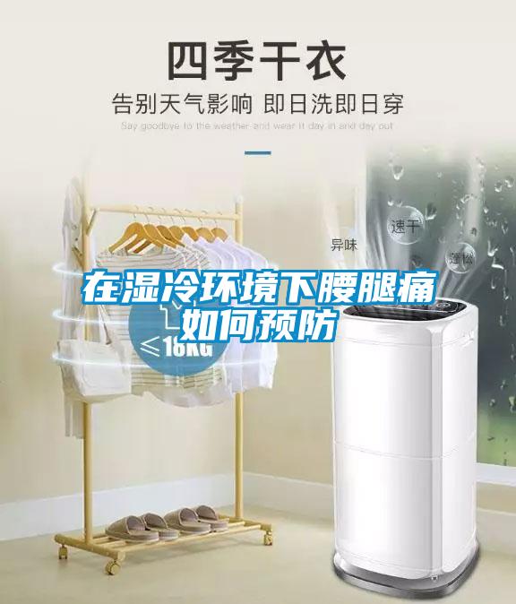 在濕冷環(huán)境下腰腿痛如何預防