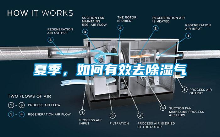 夏季，如何有效去除濕氣