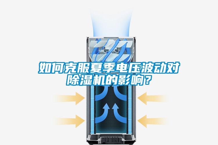 如何克服夏季電壓波動對除濕機的影響？
