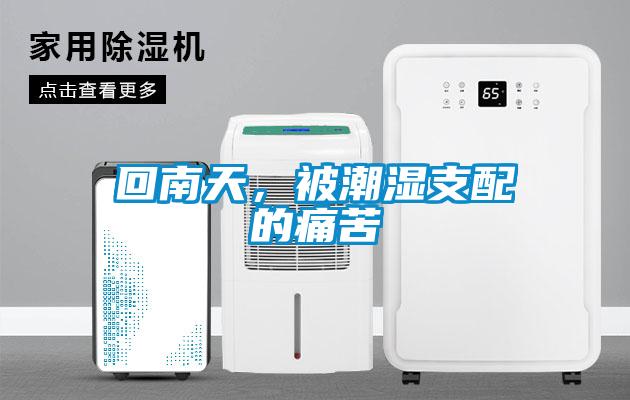 回南天，被潮濕支配的痛苦