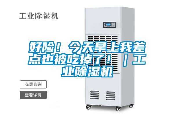 好險(xiǎn)！今天早上我差點(diǎn)也被吃掉了?。I(yè)除濕機(jī)