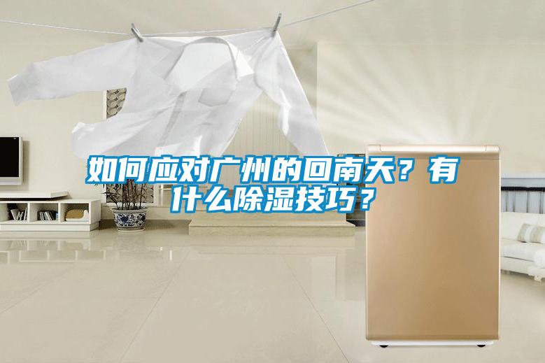 如何應對廣州的回南天？有什么除濕技巧？