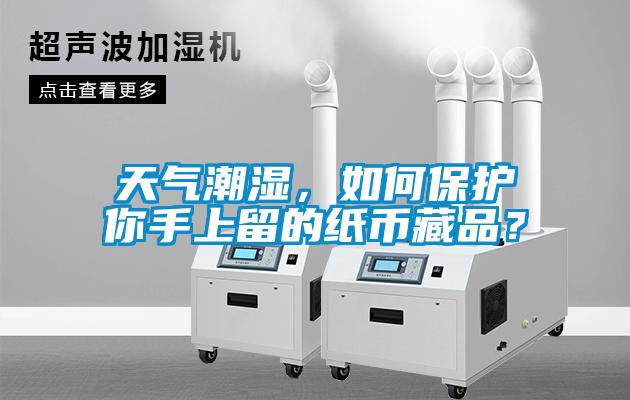天氣潮濕，如何保護你手上留的紙幣藏品？