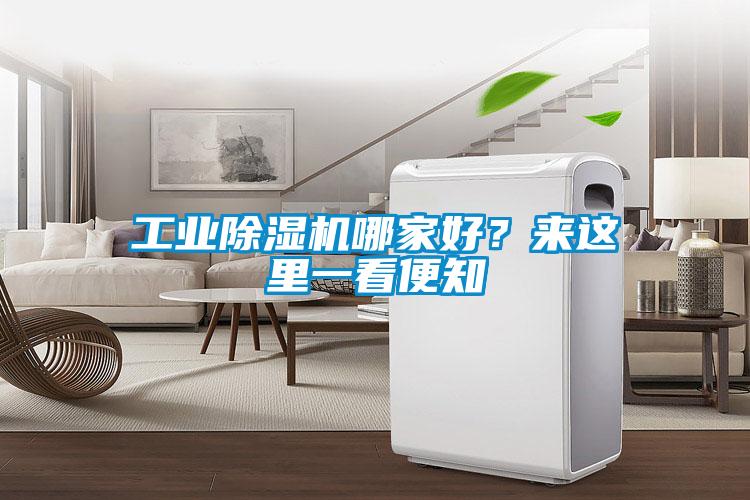 工業(yè)除濕機(jī)哪家好？來(lái)這里一看便知