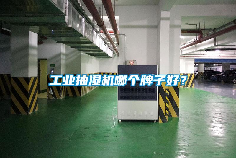 工業(yè)抽濕機(jī)哪個(gè)牌子好？