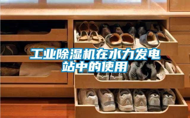 工業(yè)除濕機在水力發(fā)電站中的使用