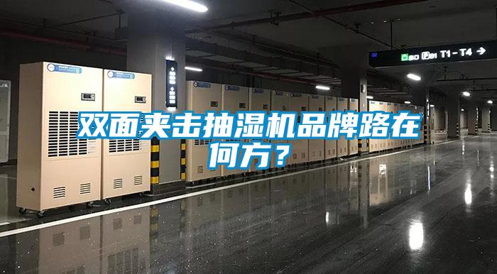 雙面夾擊抽濕機(jī)品牌路在何方？