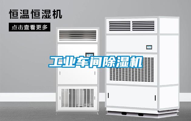 工業(yè)車(chē)間除濕機(jī)