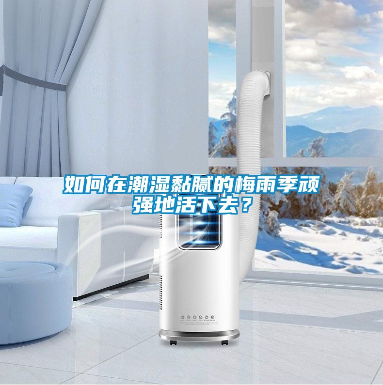 如何在潮濕黏膩的梅雨季頑強(qiáng)地活下去？