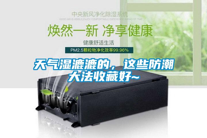 天氣濕漉漉的，這些防潮大法收藏好~