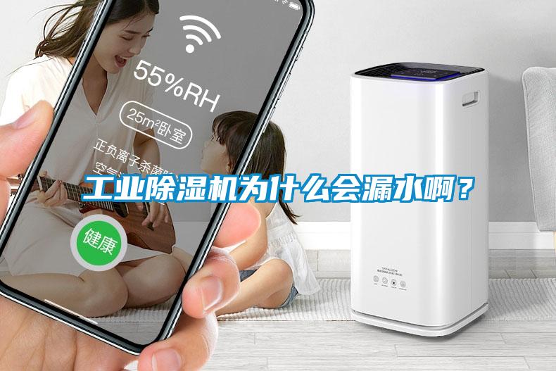 工業(yè)除濕機為什么會漏水?。?/></p>
						    <p style=