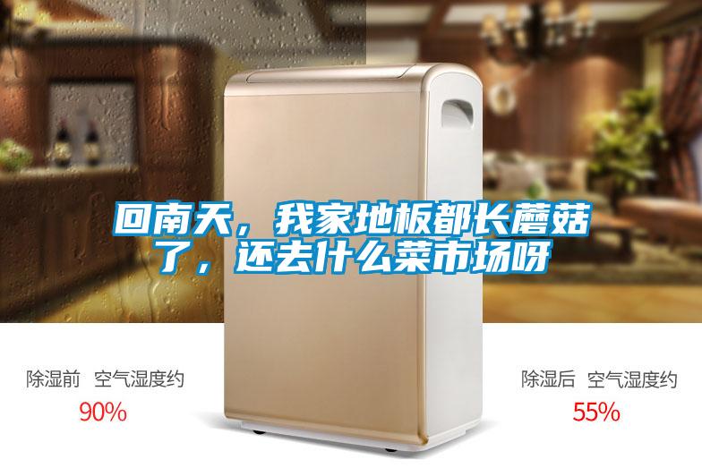 回南天，我家地板都長蘑菇了，還去什么菜市場呀