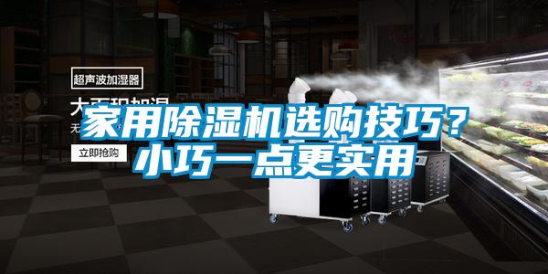 家用除濕機(jī)選購(gòu)技巧？小巧一點(diǎn)更實(shí)用