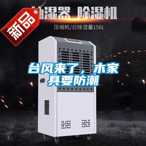 臺(tái)風(fēng)來了，木家具要防潮
