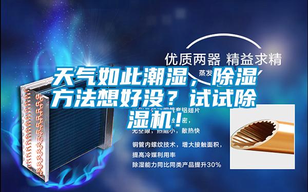 天氣如此潮濕，除濕方法想好沒？試試除濕機！
