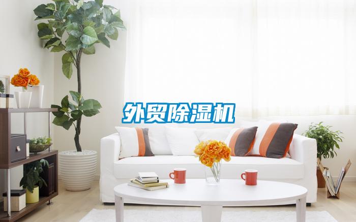 外貿(mào)除濕機(jī)