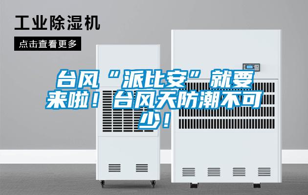 臺(tái)風(fēng)“派比安”就要來(lái)啦！臺(tái)風(fēng)天防潮不可少！