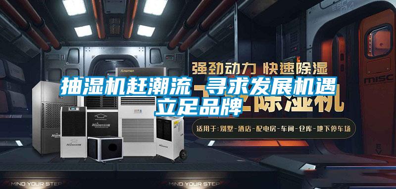 抽濕機趕潮流 尋求發(fā)展機遇立足品牌