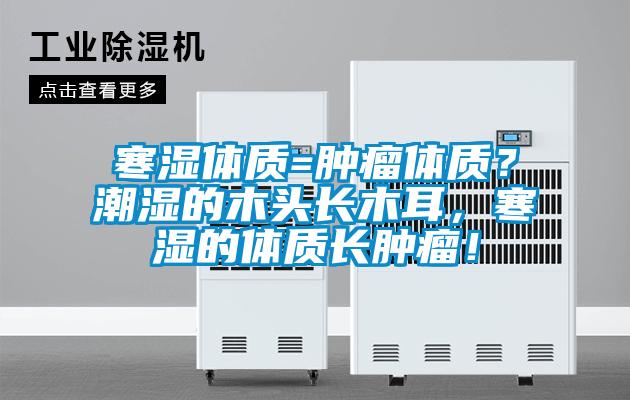 寒濕體質(zhì)=腫瘤體質(zhì)？潮濕的木頭長木耳，寒濕的體質(zhì)長腫瘤！