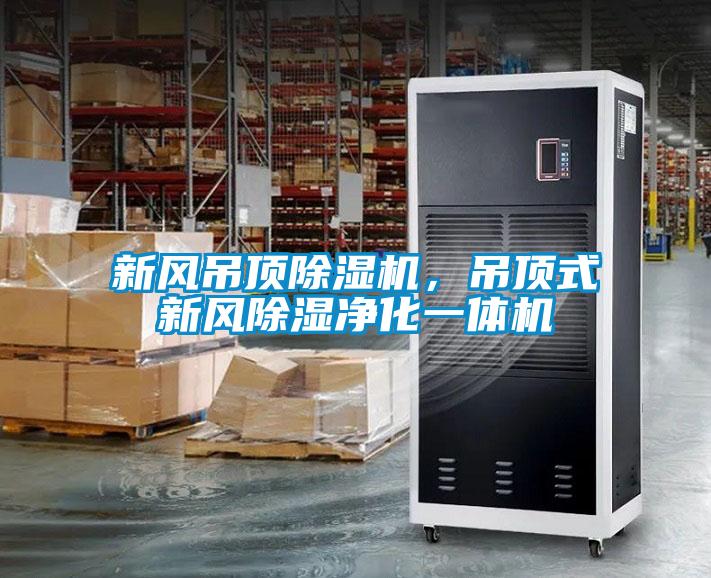 新風(fēng)吊頂除濕機，吊頂式新風(fēng)除濕凈化一體機