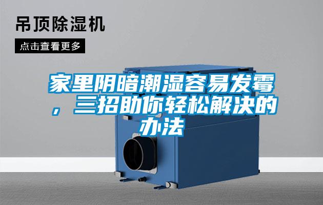 家里陰暗潮濕容易發(fā)霉，三招助你輕松解決的辦法