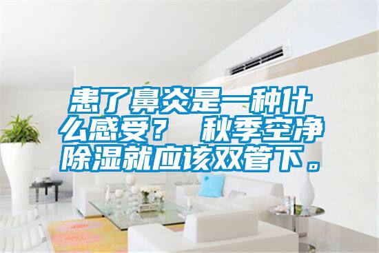 患了鼻炎是一種什么感受？ 秋季空凈除濕就應該雙管下。