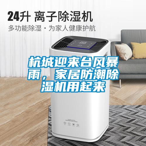 杭城迎來臺風(fēng)暴雨,家居防潮除濕機用起來