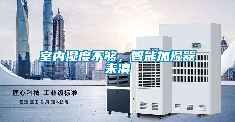 室內濕度不夠，智能加濕器來湊