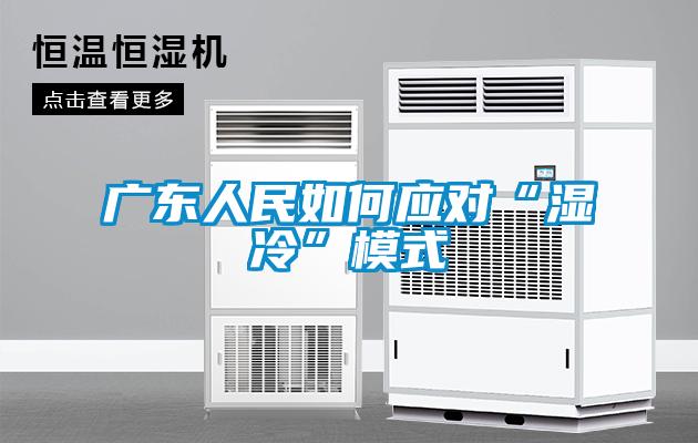 廣東人民如何應(yīng)對(duì)“濕冷”模式