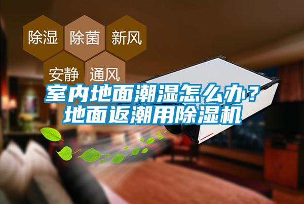 室內(nèi)地面潮濕怎么辦？地面返潮用除濕機(jī)
