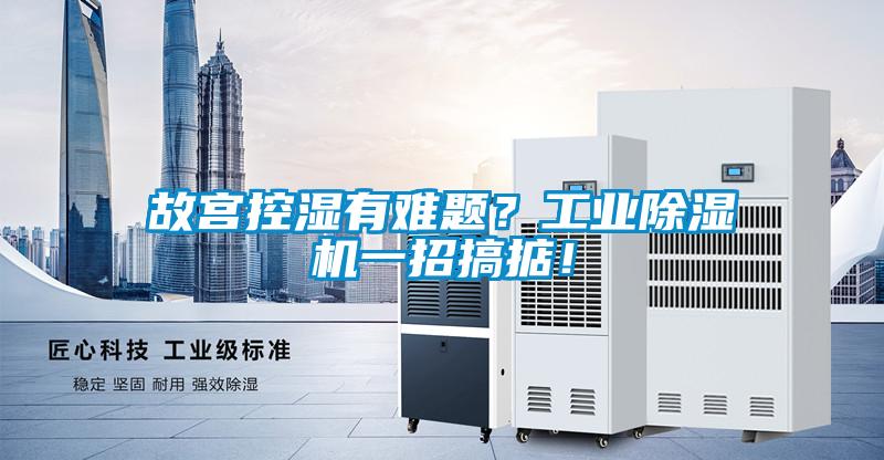故宮控濕有難題？工業(yè)除濕機(jī)一招搞掂！