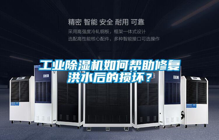 工業(yè)除濕機(jī)如何幫助修復(fù)洪水后的損壞？