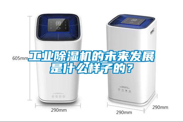 工業(yè)除濕機(jī)的未來(lái)發(fā)展是什么樣子的？
