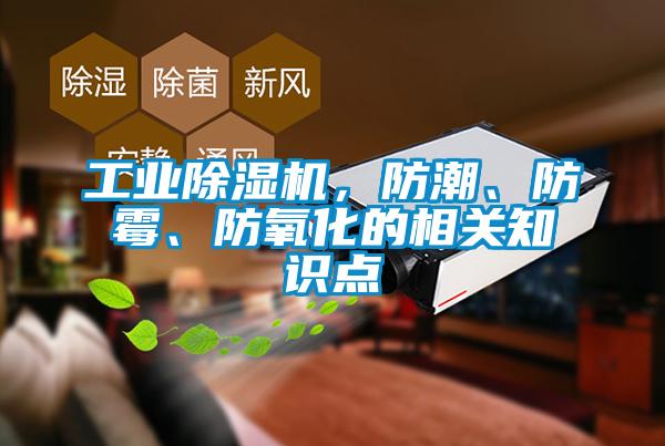 工業(yè)除濕機(jī)，防潮、防霉、防氧化的相關(guān)知識(shí)點(diǎn)