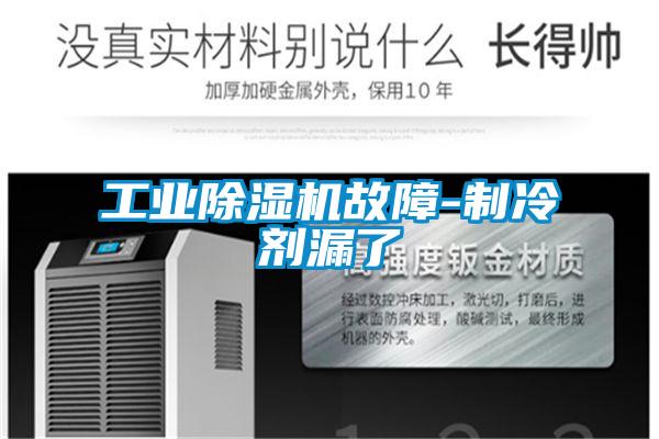工業(yè)除濕機故障-制冷劑漏了