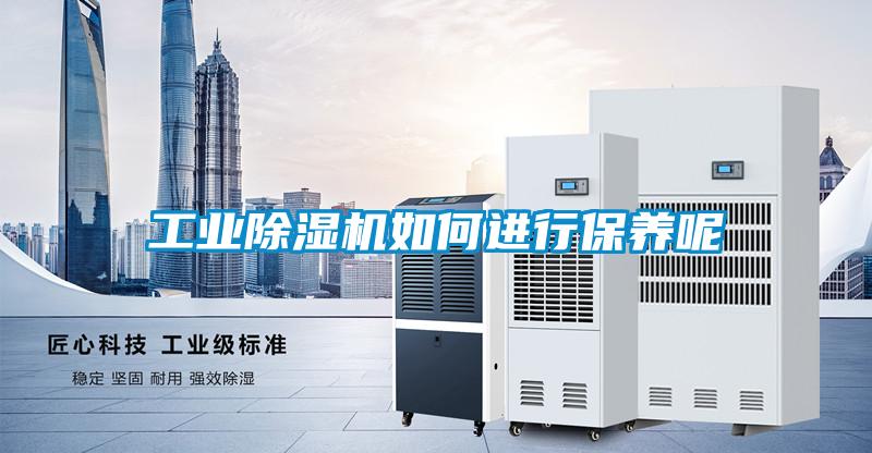 工業(yè)除濕機(jī)如何進(jìn)行保養(yǎng)呢
